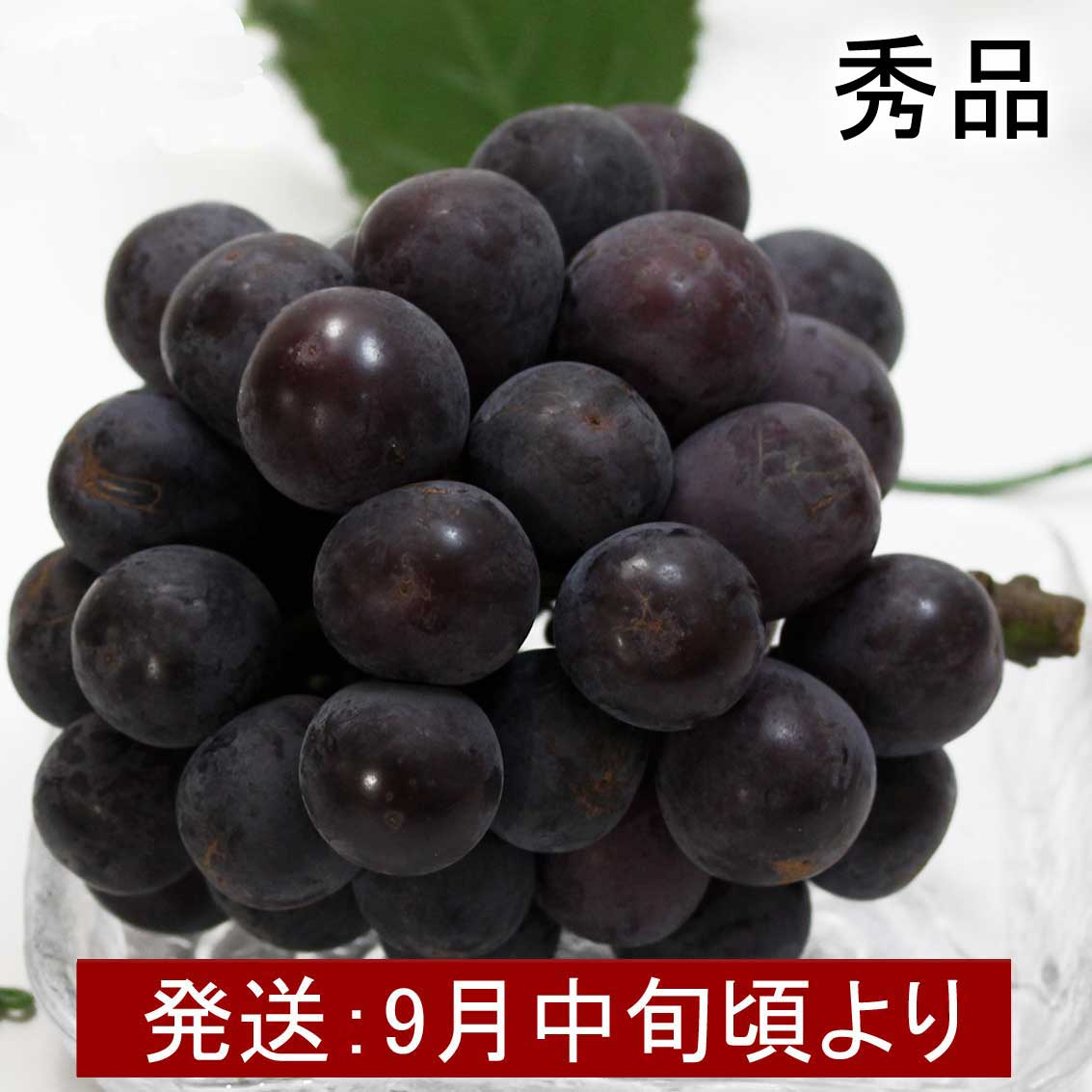 山形県産　種なし『ピオーネ』秀品 約2kg【ギフト、お祝い、化粧箱、贈答用、送料込み】