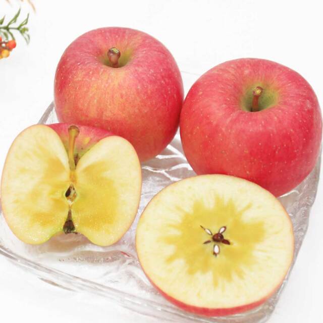 高徳（こうとく）5～9玉　1.5kg【ギフト、お祝い、贈答用、送料無料】