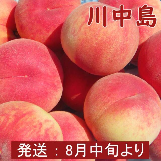 川中島（白桃）7～12玉　3kg【夏ギフト】【送料無料】