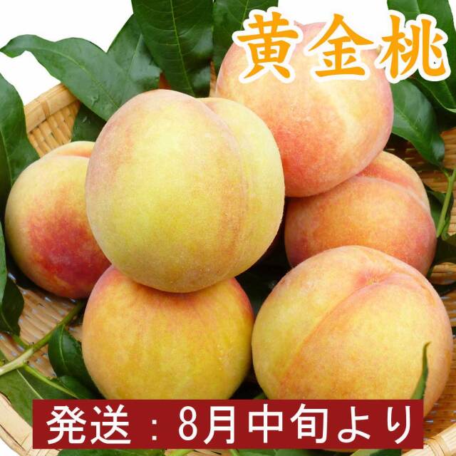 黄金桃（黄桃）5～8玉　2kg【夏ギフト】【送料無料】