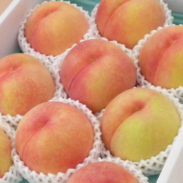 黄金桃（黄桃）7～12玉 3kg【夏ギフト】【送料無料】