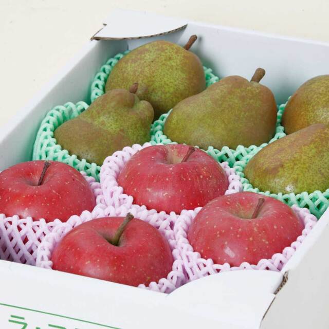 旬の味覚　冬の果物詰め合わせ　3kg【ギフト、お祝い、贈答用、送料無料】