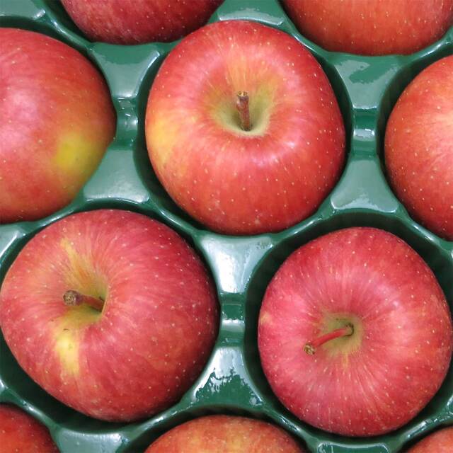 高徳（こうとく）訳あり品　6～10玉　2kg【ご家庭用、送料無料】