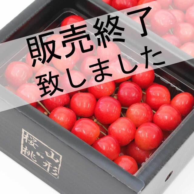 佐藤錦1kg×2箱　L以上　贈答品 只今お届け中 さくらんぼ 佐藤錦 1kg (500g×2) 特秀品 ギフト