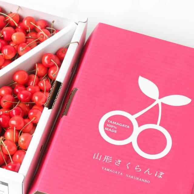 佐藤錦 さくらんぼ 1kg 家庭用（2箱） 佐藤錦 さくらんぼ 1kg 家庭用（2箱） 2箱セット】佐藤錦 簡易並べ 1kg