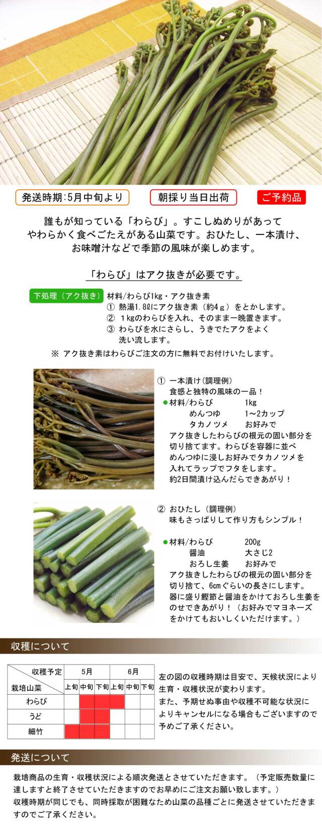 朝採り 直送 山形県産 わらび 送料 税込