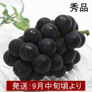 山形県産　種なし『巨峰』秀品 約2kg【ギフト、お祝い、化粧箱、贈答用、送料込み】