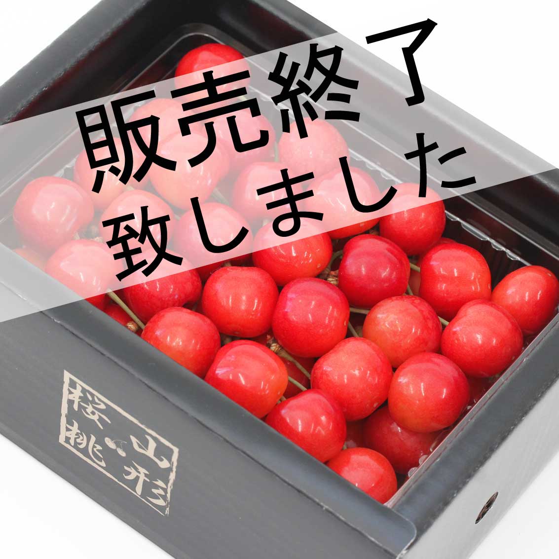 送料無料 山形のさくらんぼ バラパック化粧箱 佐藤錦 秀品 ｌサイズ 500g 今季一番