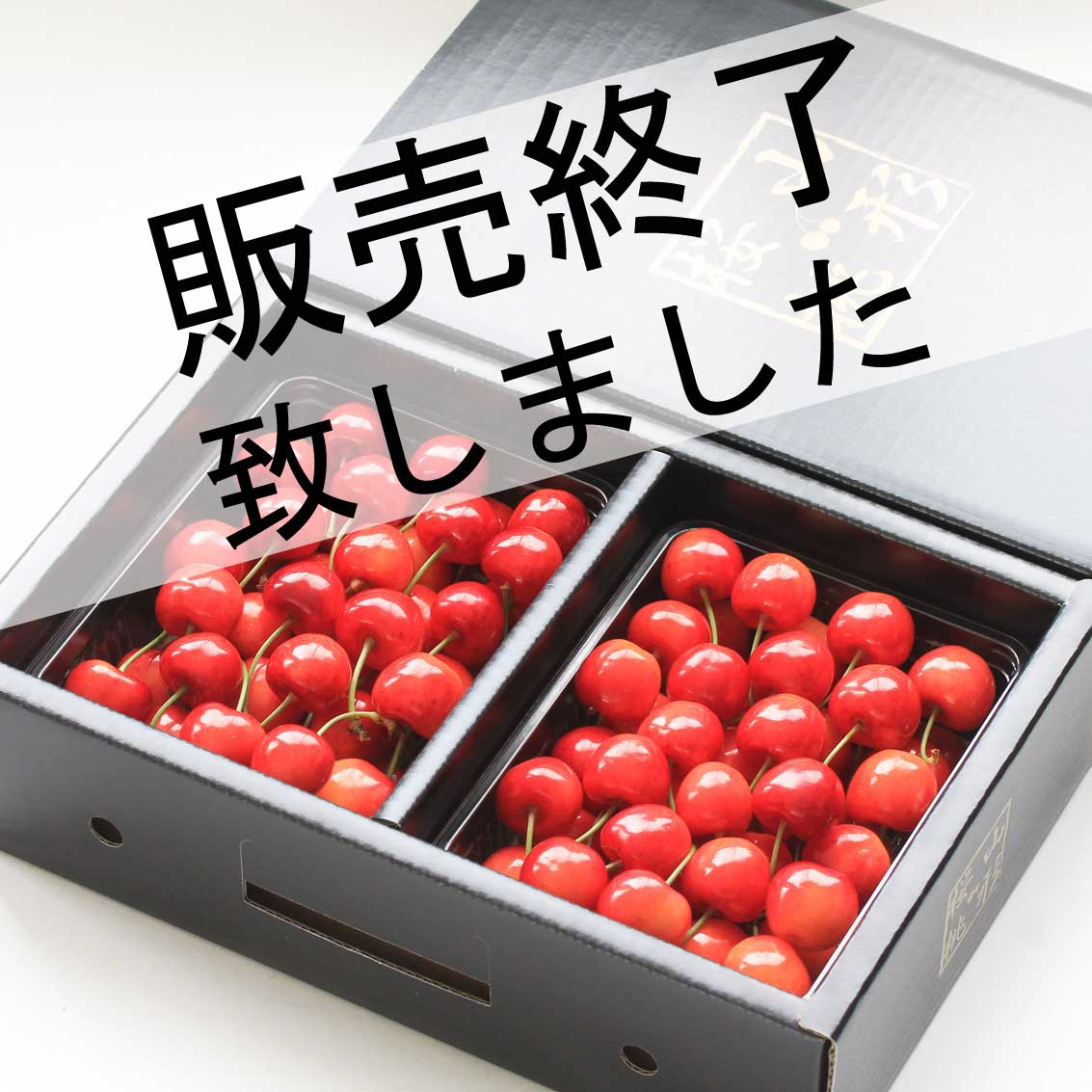 山形県産 さくらんぼ 紅秀峰 バラ詰め 【秀】 2L 1kg【化粧箱】【お中元】【ギフト】【夏ギフト】【送料無料】 山形県産 さくらんぼ 紅秀峰 バラ詰め 【秀】 2L 1kg【化粧箱】【お中元】【ギフト】【夏ギフト】【送料無料】