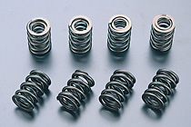 Z750-1100 バルブスプリング (対応リフト量0.475°)
