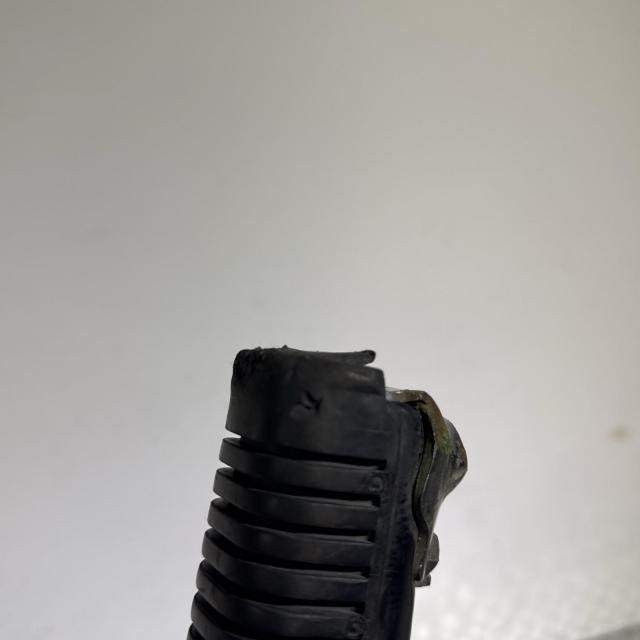 ACP
