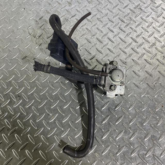 ACP