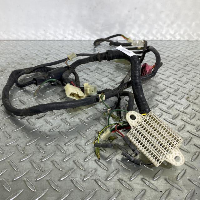 HONDA DJ-1 50 AF12 メインハーネス ホンダ [Y-250609-20] HONDA DJ-1 50 AF12 メインハーネス ホンダ [Y-250609-20] 【公式通販】