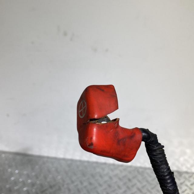 ACP