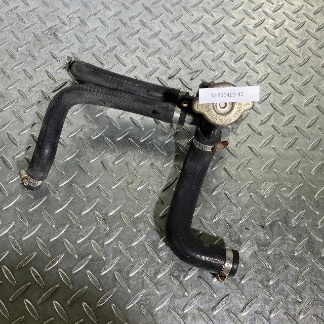 ACP