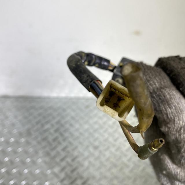 ACP