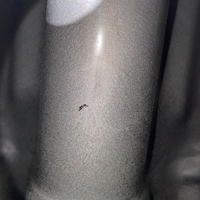 ACP
