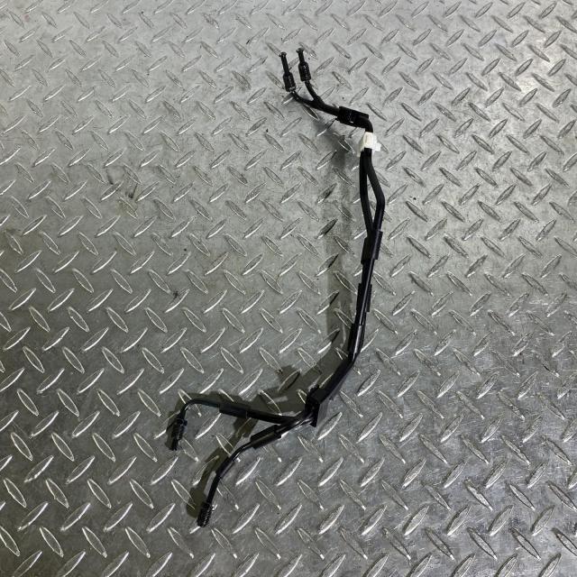 ACP