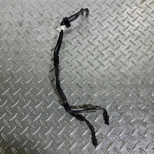 ACP