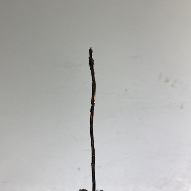ACP
