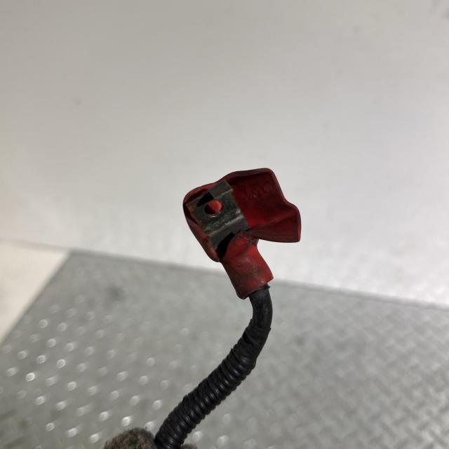 ACP