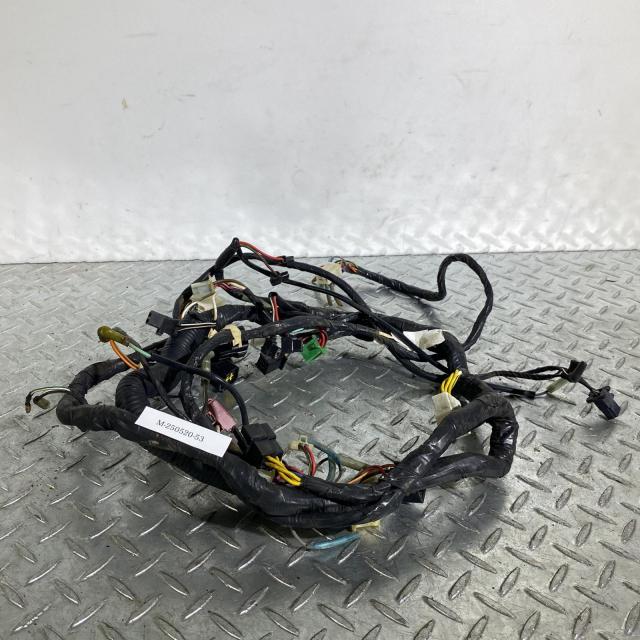 KAWASAKI エリミネーター250 メインハーネス カワサキ [M-250520-53] KAWASAKI エリミネーター250 メインハーネス カワサキ