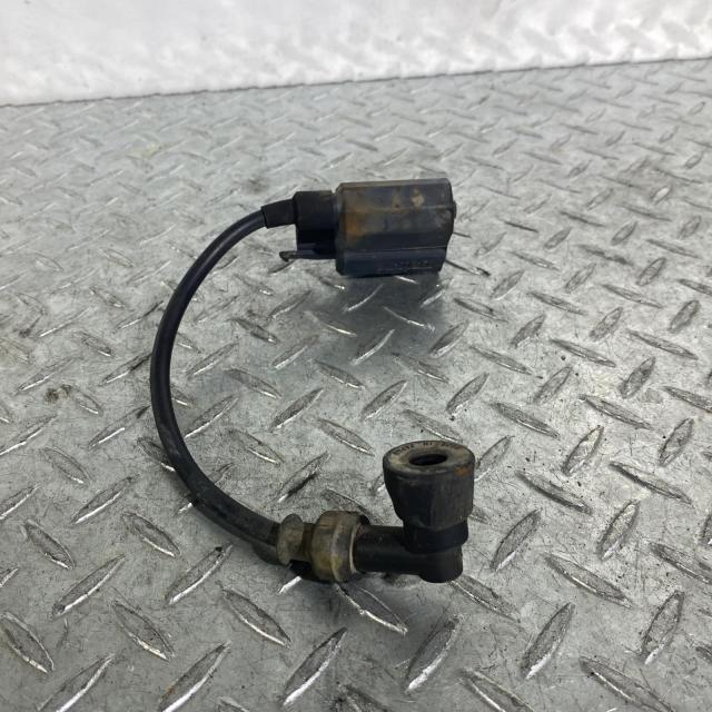 ACP
