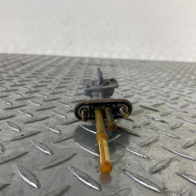 ACP