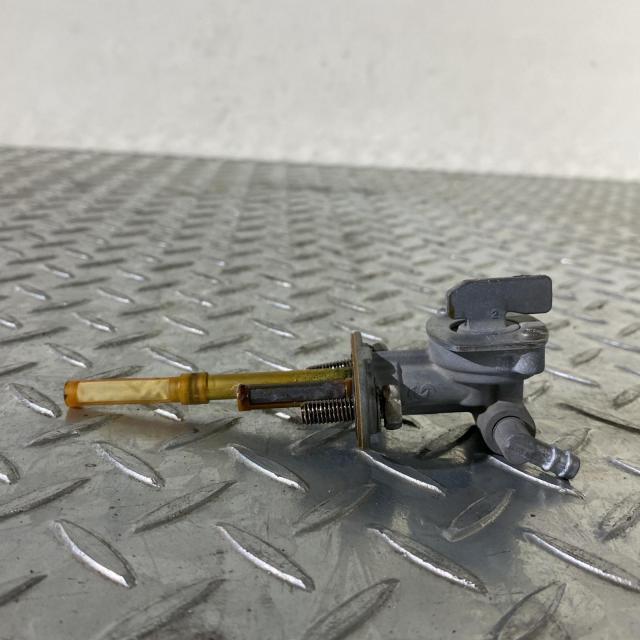 ACP