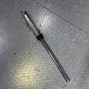 ACP