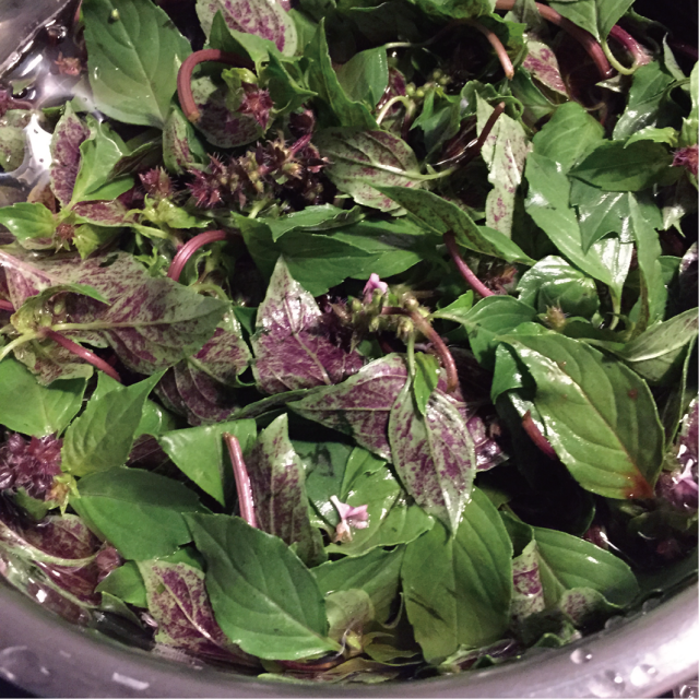 醗酵液をつくる場面