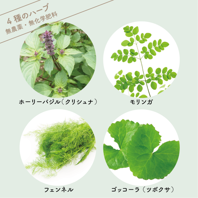 4種類のハーブ