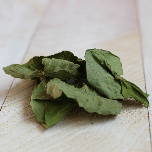 醗酵畑のハーブティー、ゴッコーラ製品詳細