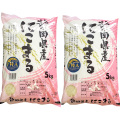 【送料無料】【令和7年産】静岡県産 にこまる 5kg×2袋 (精米) 静岡県袋井市周辺で収穫　送料無料でお得な商品です　※北海道と沖縄県は別途500円加算