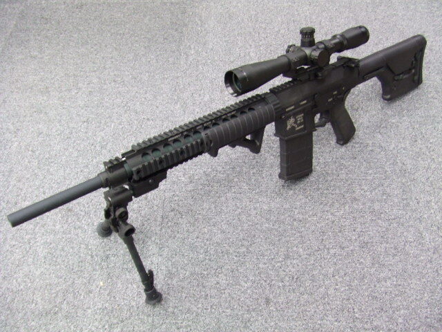 SR25 マグプル PTS カスタム フルセット | G&P
