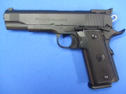 パラオーディナンス