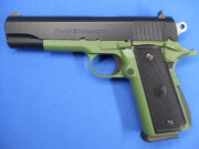 パラオーディナンス