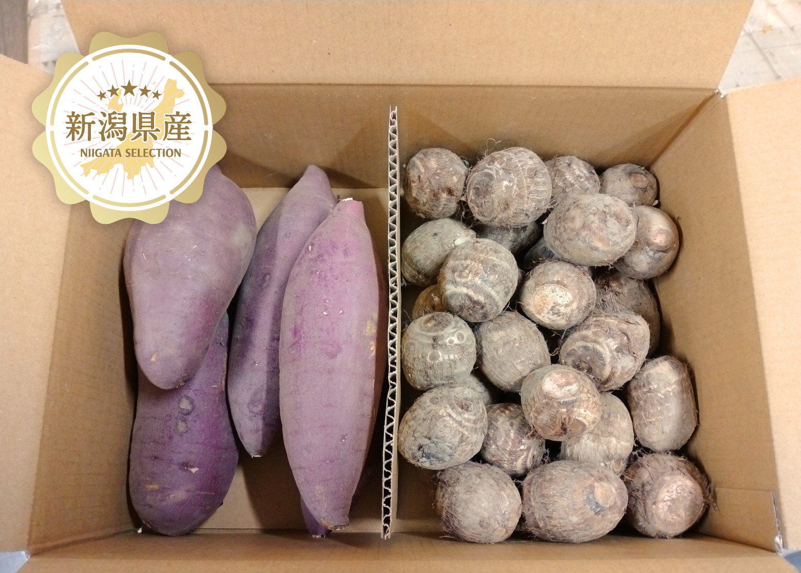 新潟産ねっとり大玉さといも4箱 新潟産ねっとり大玉さといも4箱