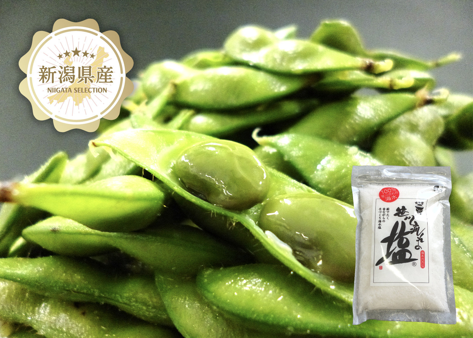 新潟県産 くろさき茶豆 + 笹川流れの塩【予約販売：7月下旬～8月中旬 出荷予定】新潟ブランド枝豆と塩のオトクなセット！