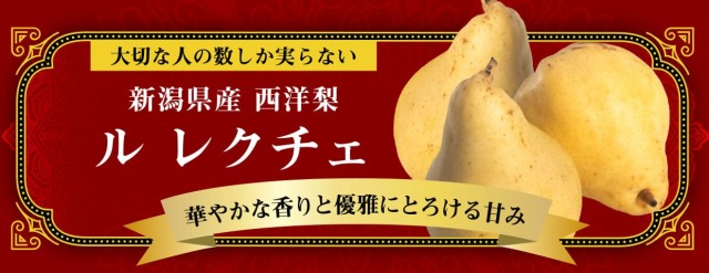 新潟青果市場「愛菜園倶楽部」｜鹿児島県産 そら豆 2kg/4kg－市場の