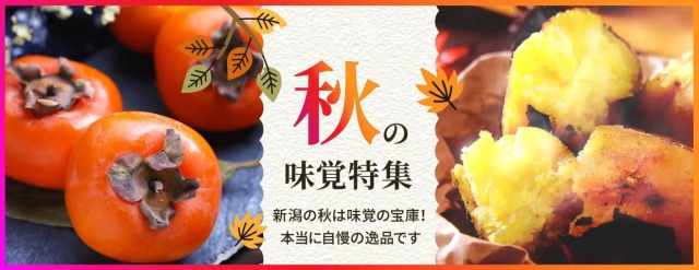 夏の特集