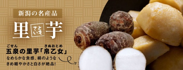 新潟青果市場「愛菜園倶楽部」｜鹿児島県産 そら豆 2kg/4kg－市場の