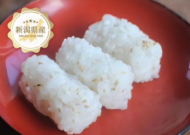 クラシックコシヒカリメイン2