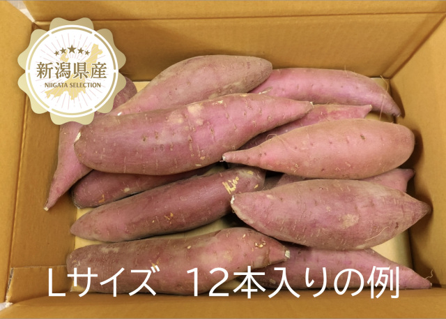 いもジェンヌL12