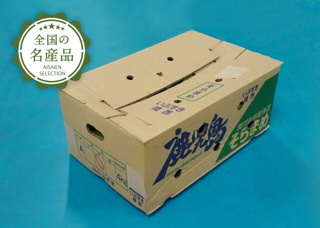 鹿児島そら豆メイン2