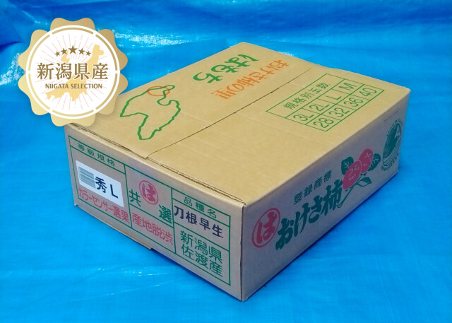 新潟青果市場「愛菜園倶楽部」｜新潟県佐渡産 おけさ柿 秀品 Mサイズ40