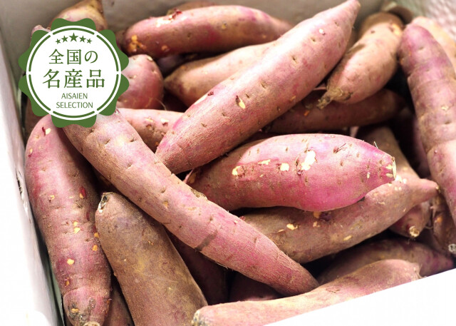 県外さつまいもメイン
