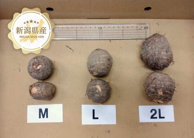 新潟産ねっとり大玉さといも4箱 楽天市場】新潟産 里芋 繭姫「2kg」or「5kg」 株式会社