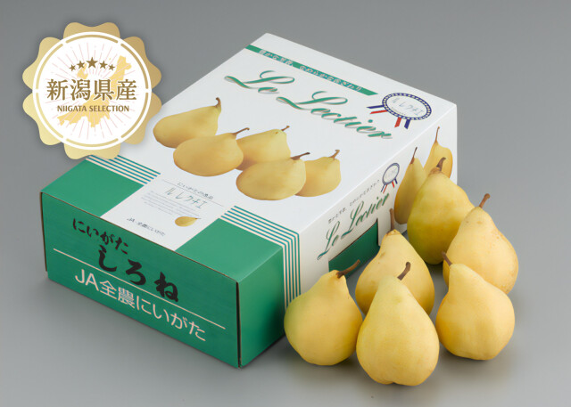 新潟青果市場「愛菜園倶楽部」｜新潟県産 ルレクチエ秀品4kg化粧箱