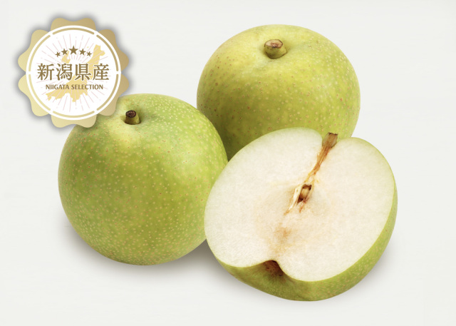 新潟県産 梨 二十世紀【秀品】5kg/10kg ※9月上旬出荷開始